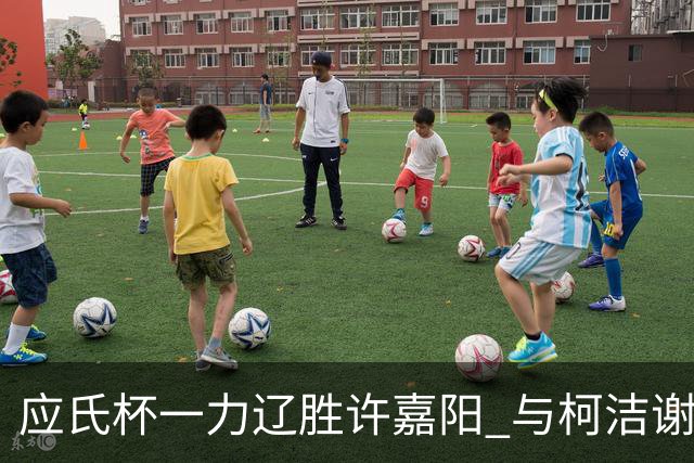 应氏杯一力辽胜许嘉阳 与柯洁谢科许皓鋐进4强